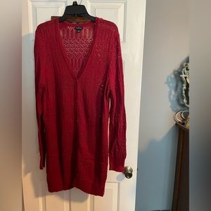 Torrid Sweater